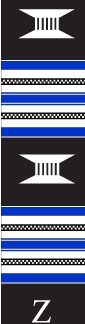 Zeta Phi Beta Black