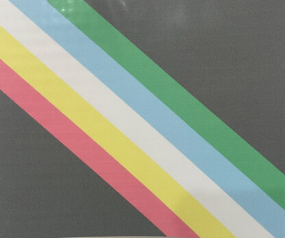 Disability Pride Stoles - Image 4